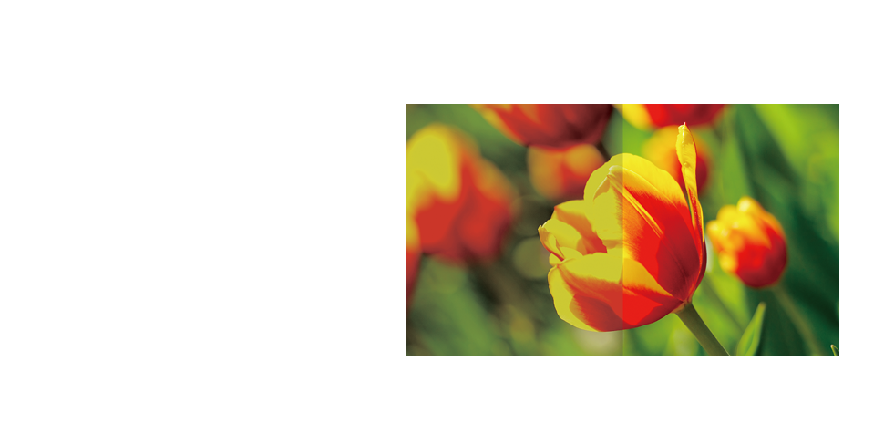 雙色域切換