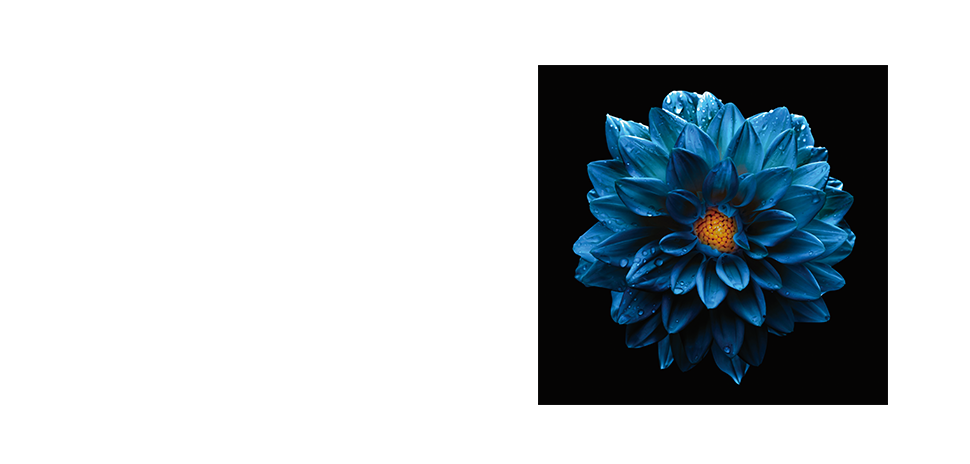 獨家黑湛屏